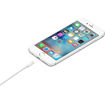 صورة Apple 1m USB-A to Lightning Cable