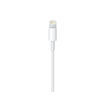 صورة Apple 1M USB-C to Lightning Cable