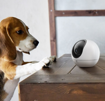 صورة EZVIZ H6 3K Smart Home Camera, White